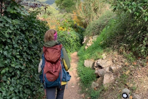 Promenade dans la vallée de Soller : petits villages et visite d'une exploitation d'agrumes