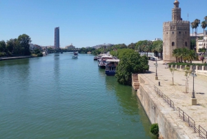 Spanien Top Tour (Barcelona, Madrid, Valencia, Malaga, Sevilla)