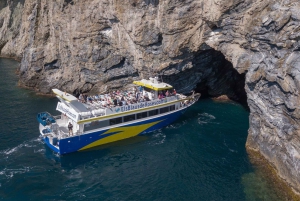 Cadaqués: Cruise Tour