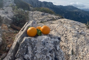 Gipfeltour: Durch die Schlucht von Biniaraix auf den Cornador Gran wandern