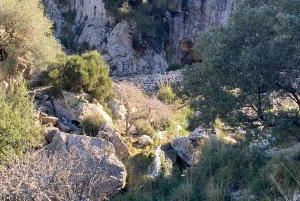 Gipfeltour: Durch die Schlucht von Biniaraix auf den Cornador Gran wandern