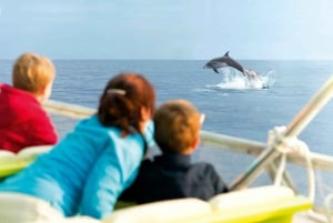 Alcudia: Sunrise at Sea & Dolphin Watching Tour