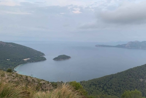 From Alcudia: Sunset Formentor Tour with Cava
