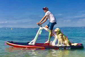 カサ・フェレラでのSUPバイクツアー（レストランでのパエリア付き）