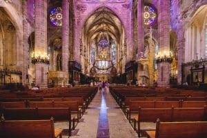 Lo Mejor de Palma: Paseo en barco, tour a pie y Catedral