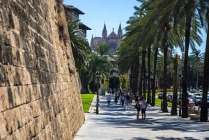 Le meilleur de Palma : tour en bateau, visite à pied et cathédrale