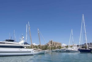 The Best of Palma: Boat trip, Walking tour and Cathedral