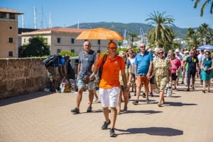 Het beste van Palma: Rondvaart, wandeltour en kathedraal