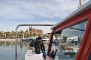O melhor de Palma: passeio de barco, excursão a pé e catedral