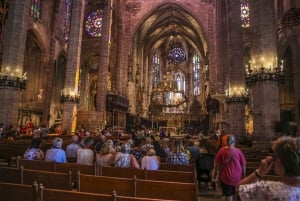 The Best of Palma: Boat trip, Walking tour and Cathedral