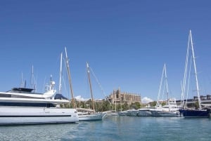 The Best of Palma: Boat trip, Walking tour and Cathedral