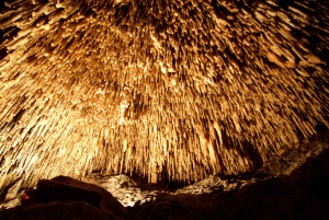 From Mallorca: Caves of Drach Day Trip with Hotel Transfers
