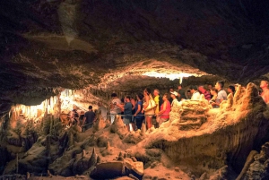 From Mallorca: Caves of Drach Day Trip with Hotel Transfers