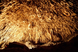 Mallorca: Caves of Drach Day Trip & Optional Caves of Hams