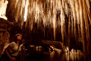Mallorca: Caves of Drach Day Trip & Optional Caves of Hams