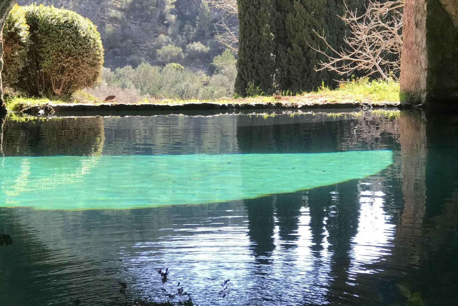 The most beautiful gardens in Mallorca