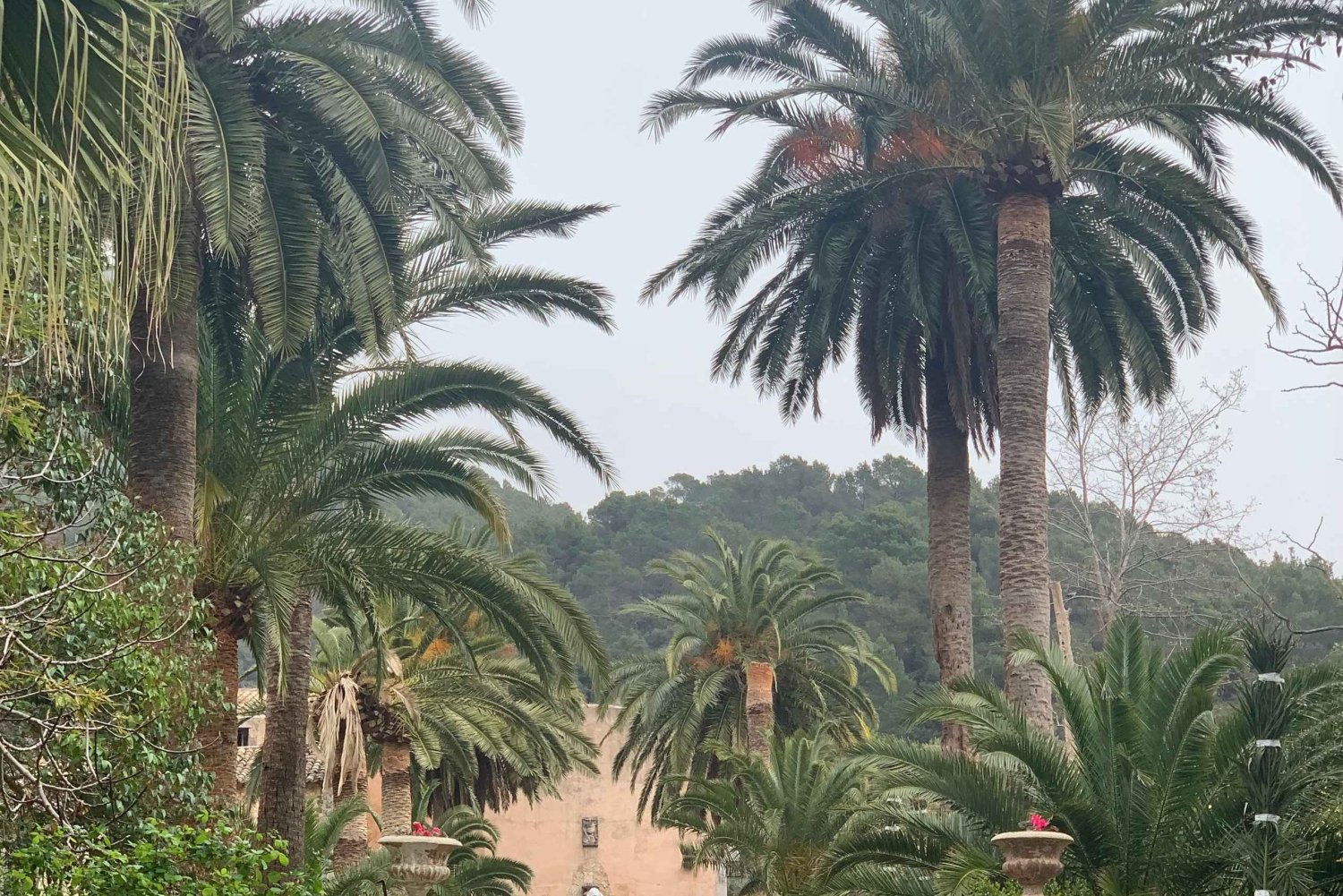 The most beautiful gardens in Mallorca