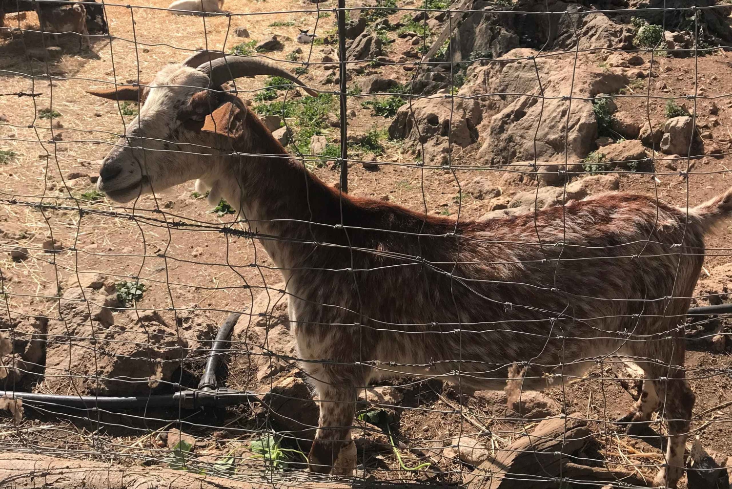 Самые красивые сады Майорки
