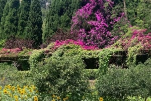 The most beautiful gardens in Mallorca