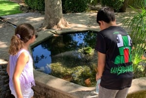 The most beautiful gardens in Mallorca