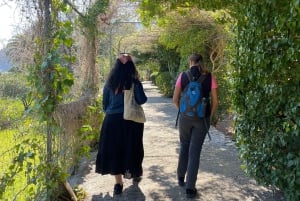 The most beautiful gardens in Mallorca