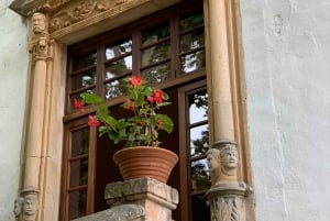 The most beautiful gardens in Mallorca