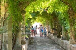 The most beautiful gardens in Mallorca