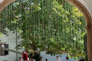 The most beautiful gardens in Mallorca