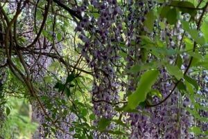 The most beautiful gardens in Mallorca