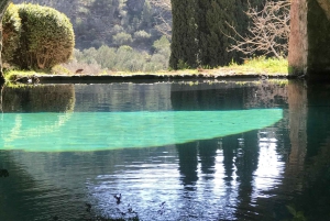 Самые красивые сады Майорки