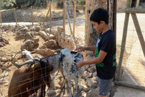 Самые красивые сады Майорки