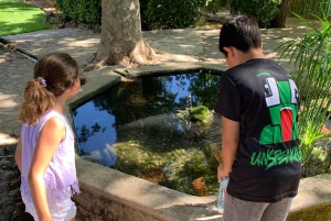 Самые красивые сады Майорки