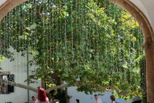 Самые красивые сады Майорки