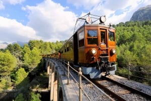 The Wonders of Soller Village at Tramuntana Half Day Tour