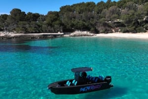 Charter-Tour: Mit dem Boot in der Bucht von Palma mit Schnorcheln und Paddelsurfen