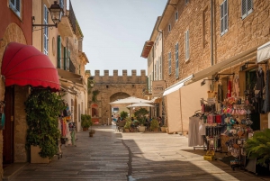 Cap de Formentor: Market, Beach, and Alcudia or Sineu Tour