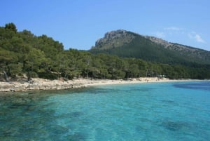 Tour of Formentor: Market, Beach, and Alcudia Town