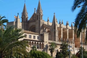 Tour Palma old town & Cathedral Skip-the-Line entry--English