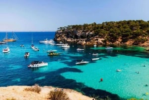 Mallorca erleben: Playa Portal Vells / Playa del Mago