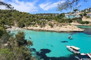 Mallorca erleben: Playa Portal Vells / Playa del Mago