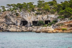 Mallorca erleben: Playa Portal Vells / Playa del Mago