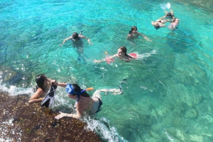 Mallorca erleben: Playa Portal Vells / Playa del Mago