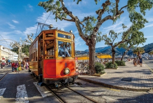 Tramuntana Panorama Tour - Soller, Deiá, Valldemossa