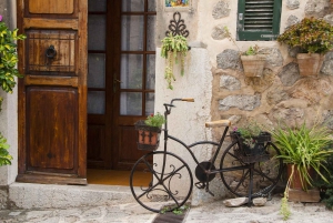 Tramuntana Panorama Tour - Soller, Deiá, Valldemossa