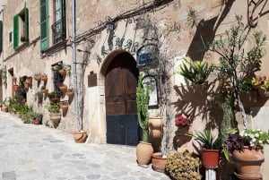 Tramuntana Small Group Tour - Soller, Deiá, Valldemossa