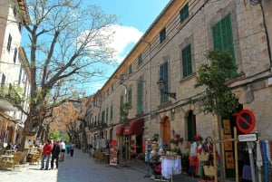 Tramuntana Small Group Tour - Soller, Deiá, Valldemossa