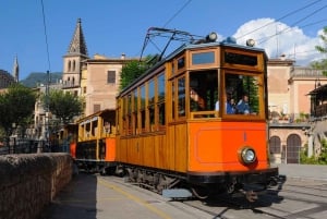 Mallorca: Tramuntana Tour with Historic Railway Ride