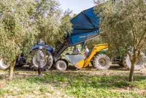 Treurer: Mediterranean barbecue Night