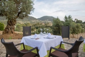 Treurer: Tapas Gourmet en Extra Vergine Olijfolie
