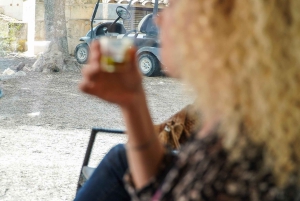 Treurer: Tapas Gourmet og ekstra jomfru olivenolie